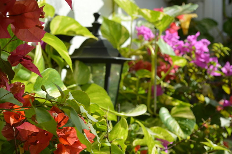 Casa Mary Hotel Cartagena Exterior photo